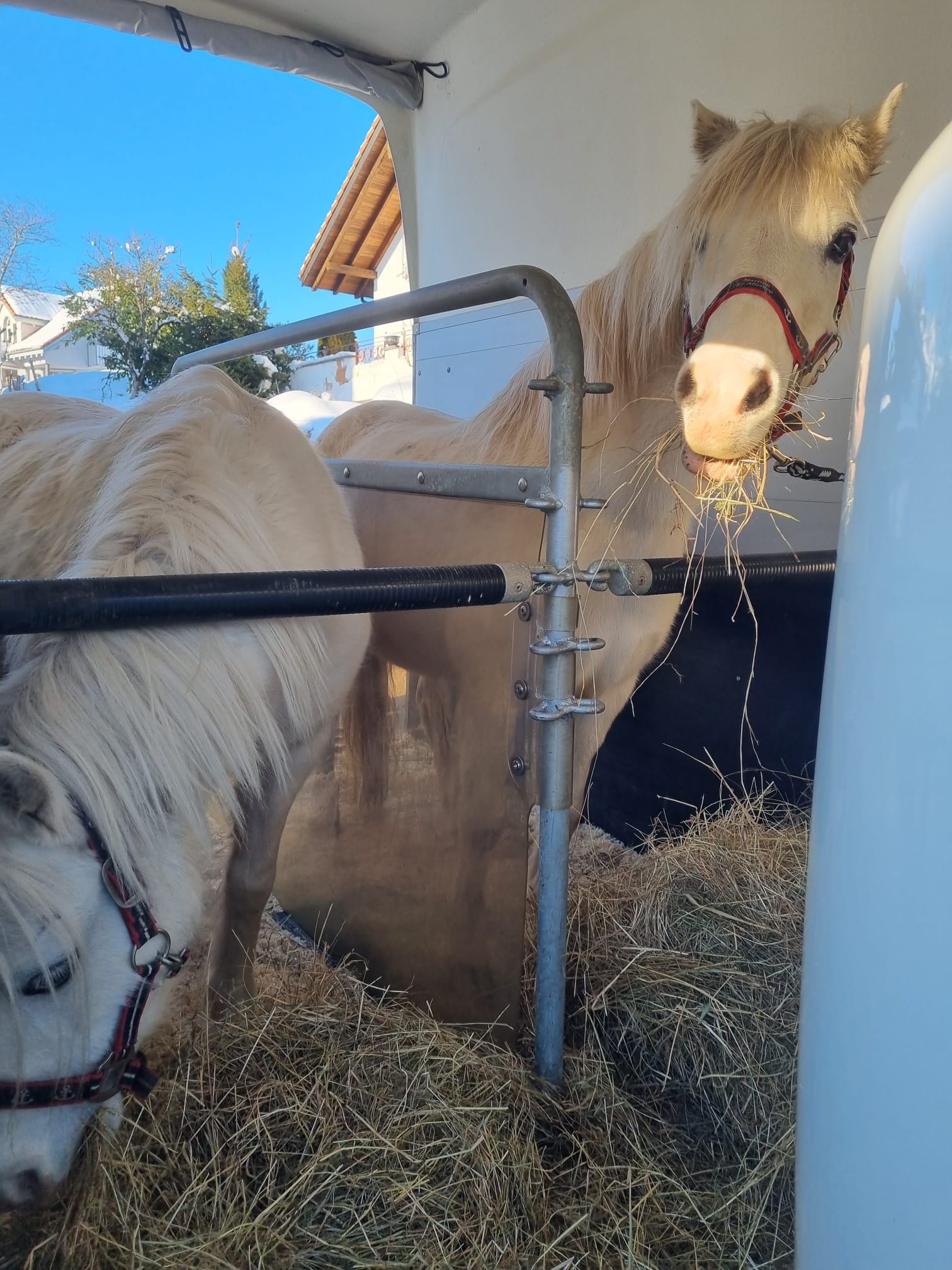 High Girl und Cleopatra